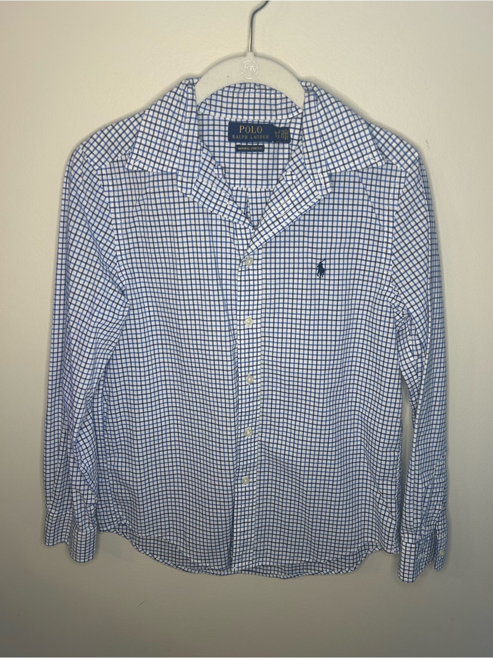 Ralph Lauren Youth Blue and White Gingham Button-Down Shirt